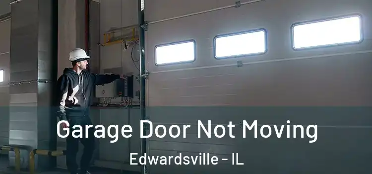  Garage Door Not Moving Edwardsville - IL