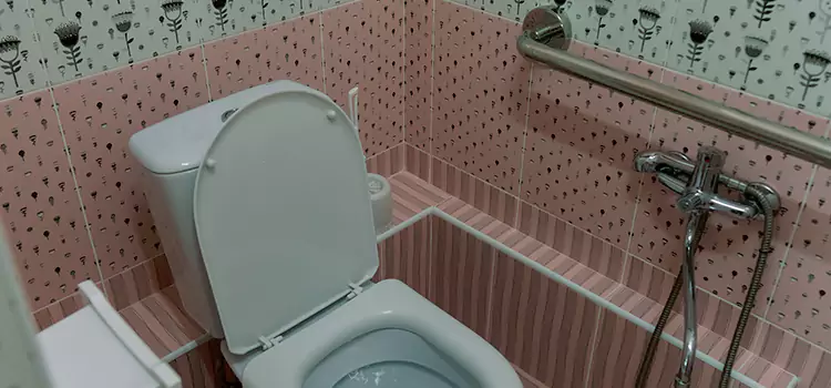 Meeting Diverse Needs With Accessible Restroom Solutions in Edwardsville, IL