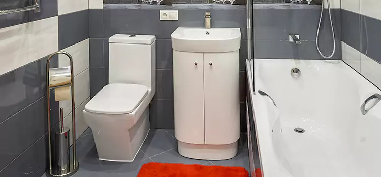 Hansgrohe Shaving Mirror Edwardsville